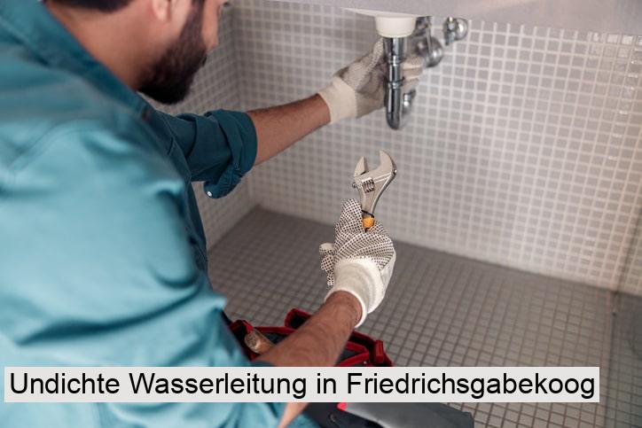 Undichte Wasserleitung in Friedrichsgabekoog